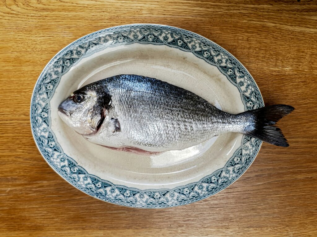 pesce, molluschi, frutti di mare e crostacei omnia import export forniture alimentari per ristoratori